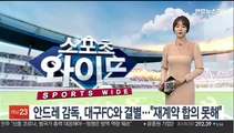 [프로축구] 안드레 감독, 대구FC와 결별…