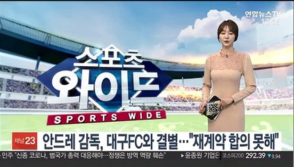 [프로축구] 안드레 감독, 대구FC와 결별…"재계약 합의점 찾지 못해"