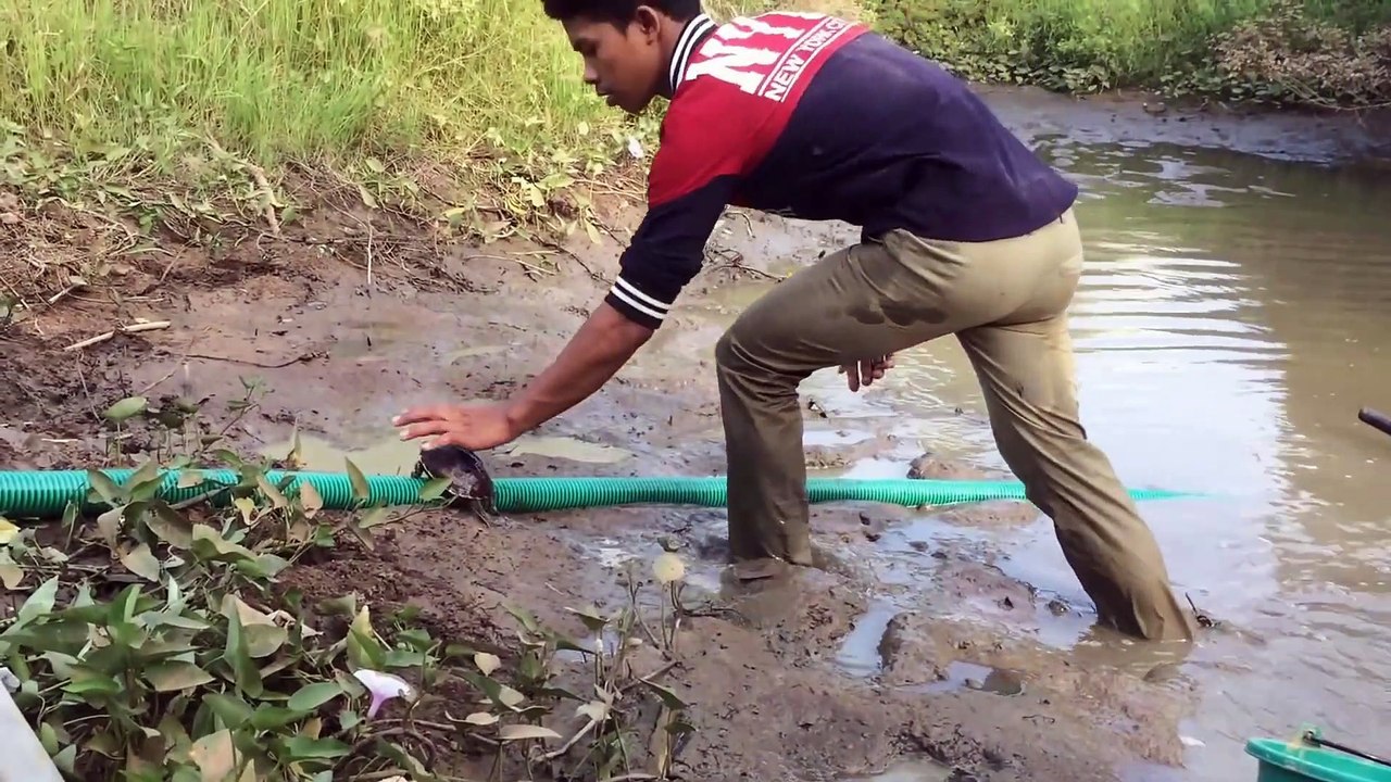 Amazing Catch Crocodile In Battambang - How To Catches Fish in Cambodia