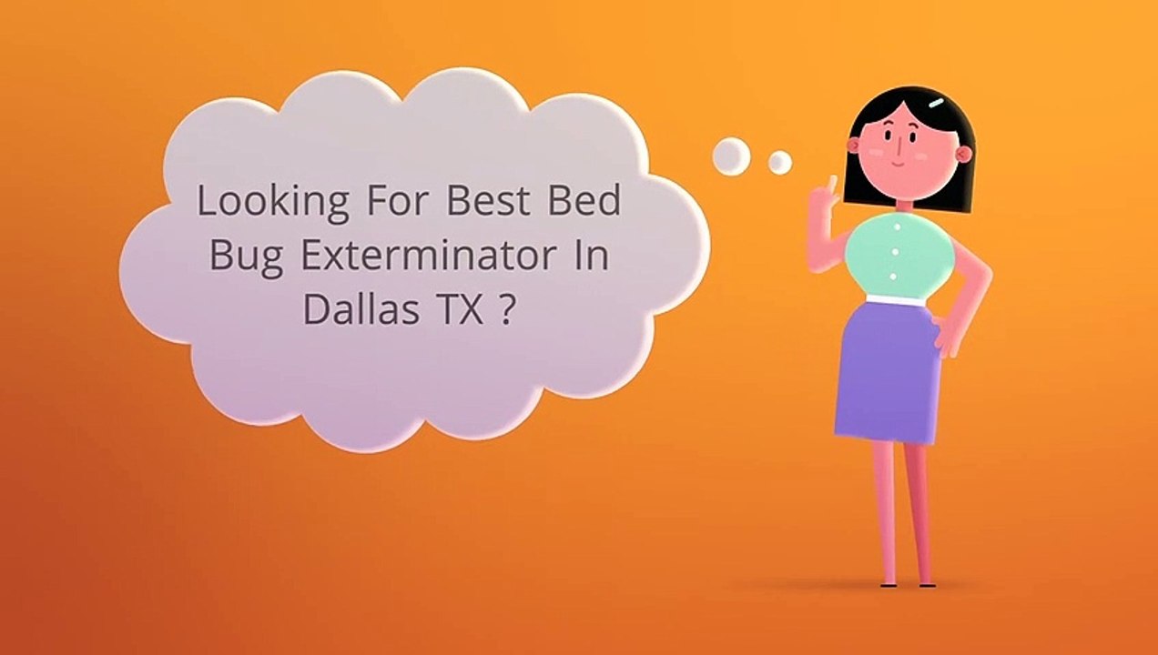 Bed Bug Exterminator In Dallas TX