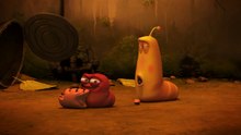 LARVA SEASON1, HAM, CRAZY CARTOONS, PLEASANT EPISODE