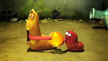 LARVA SEASON1, FLY, CRAZY CARTOONS, PLEASANT EPISODE