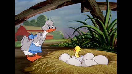 Tom & Jerry _ Best of Little Quacker _ Classic Cartoon Compilation _ WB Kids ( 720 X 720 )