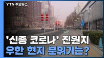 [더뉴스-더인터뷰] '신종 코로나' 진원지, 우한 주민이 전하는 현지 상황 / YTN