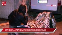 İstanbul'da yabancı uyrukluların kanlı kavgası