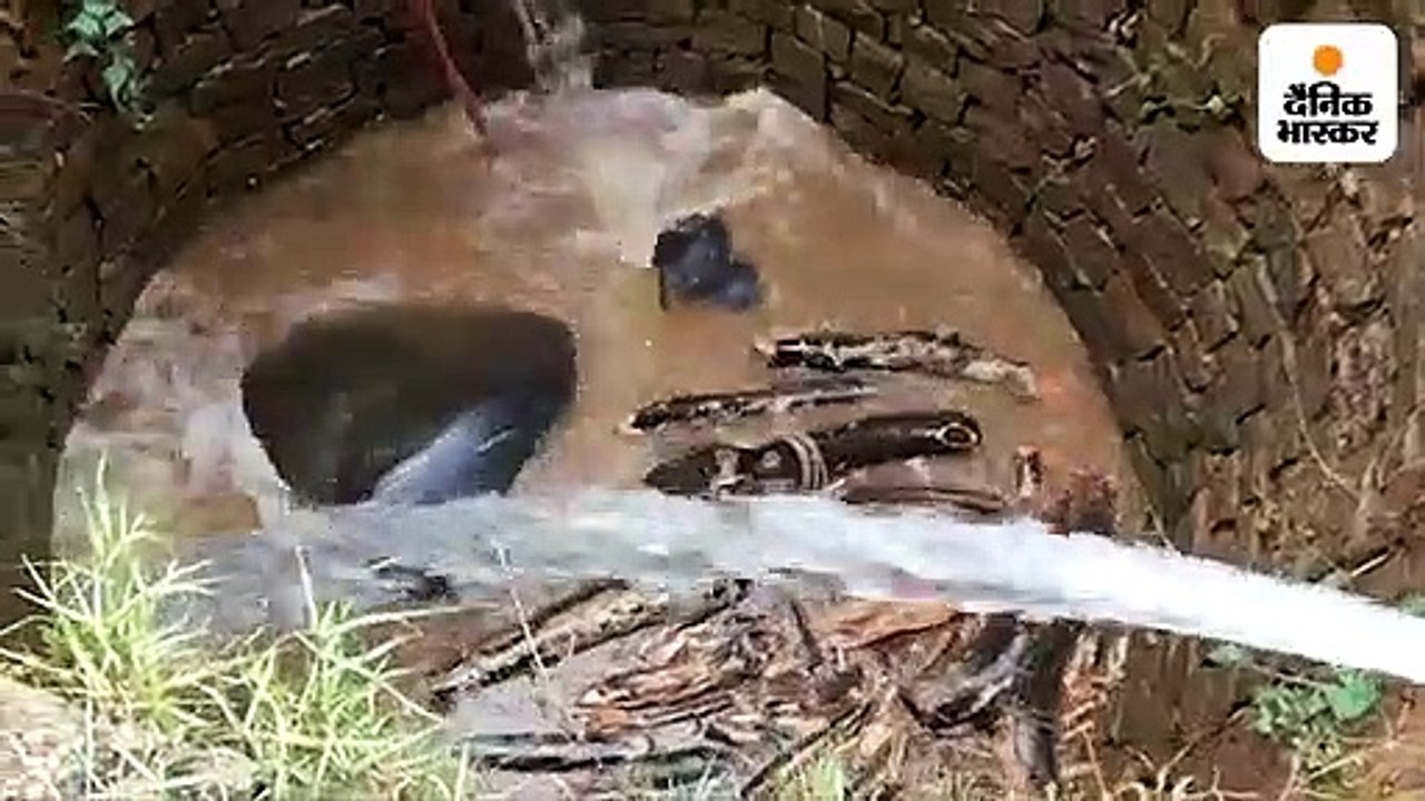 कुएं में गिरा हाथी का बच्चा, रेस्क्यू कर निकाला...