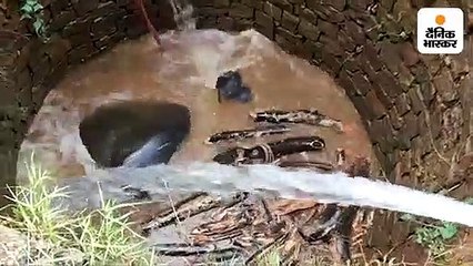 कुएं में गिरा हाथी का बच्चा, रेस्क्यू कर निकाला गया बाहर