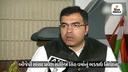 BJP સાંસદનું ભડકાઉ નિવેદન ‘શાહિનબાગ પ્રદર્શનકારીઓ તમારા ઘરમાં ઘૂસસે અને બહેન-દીકરીઓ સાથે રેપ કરશે’