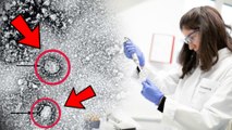 China releases the Microscopic pic of Coronavirus|இதுதான் கொரோனா வைரஸ்|புகைப்படத்தை வெளியிட்டது சீனா