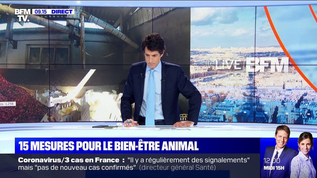 15 mesures pour le bien-être animal - 28/01