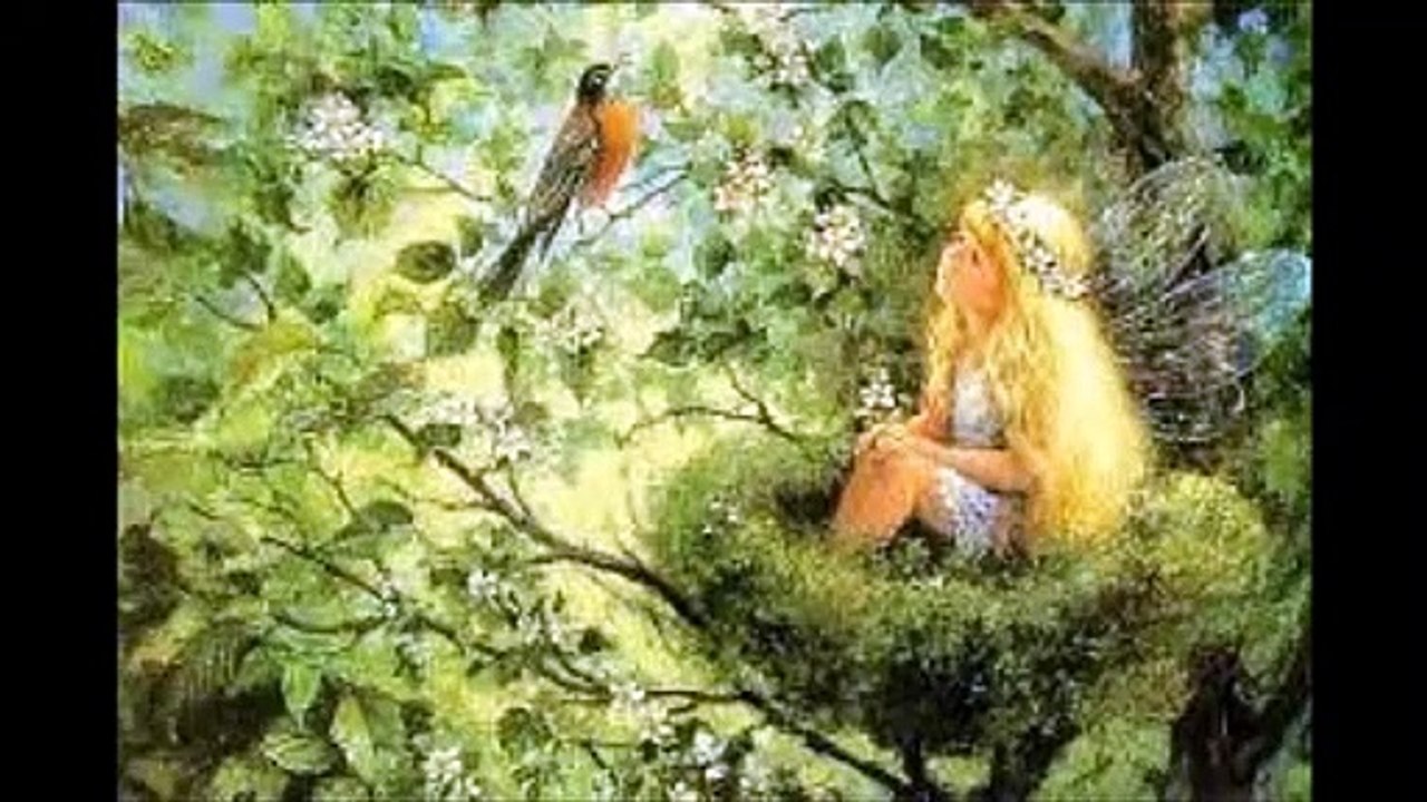 Fais Comme l 'oiseau - Voce Abusou