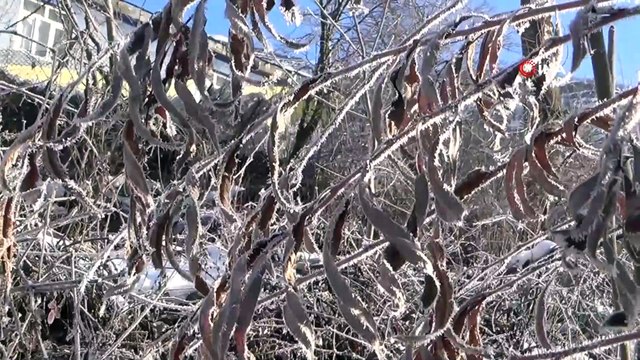 Sıcaklık eksi 19 dereceyi gördü, ilçede kartpostallık görüntüler oluştu