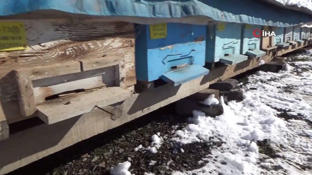 Şırnak'ta arıcıların zorlu kış mesaisi devam ediyor