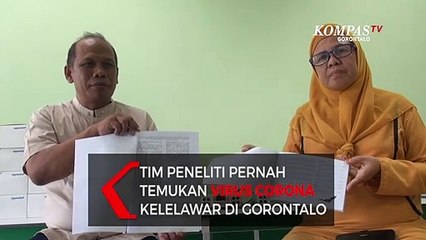 Tim Peneliti Pernah Temukan Virus Korona pada Kelelawar di Gorontalo