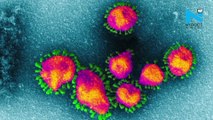 Coronavirus outbreak: 3 suspected patients kept under observation at Delhi's RML hospital