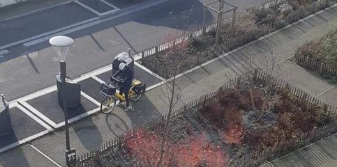 Ce facteur distribuait le courrier... dans une poubelle