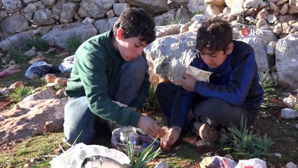 - Bombardımandan kaçan Suriyeliler boş alanlara çadır kuruyor