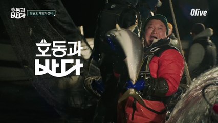 천하장사 다시 된 듯?! 대방어 잡고 세상 뿌듯해진 강호동 ㅋㅋㅋㅋ