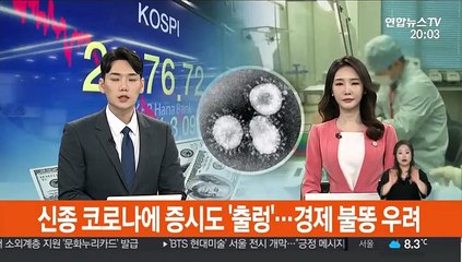 신종 코로나에 증시도 '출렁'…경제 '불똥' 우려