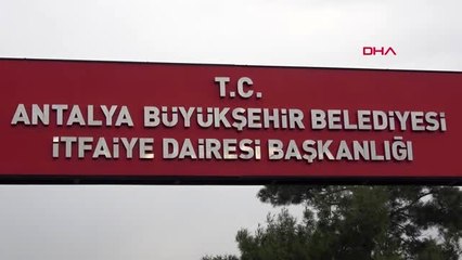 Antalya depremzede kedi, antalya'da tedaviye alındı