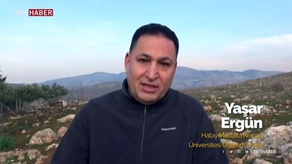 Dağ ceylanlarının sayısı artıyor