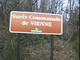 Histoires de poubelles 1