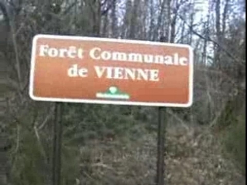 Histoires de poubelles 1