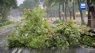 Recomendaciones para conducir con viento