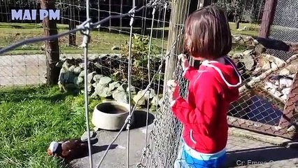 HAVING_A_BORED_DAY_?_Funniest_Animals_Scared_People_Reaction_of_2019_Weekly__Funny_Animal_Video