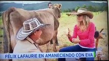 Jornalista prova leite diretamente de uma vaca e acaba por dizer o que não era suposto na reportagem...