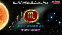 Scorpio February 2020 Monthly Horoscope Predictions ...by m s Bakar Urdu Hindi