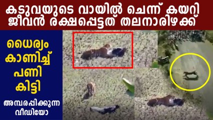 Maharashtra Man Escapes from the Paws of Death,  Video Goes Viral | Oneindia Malayalam