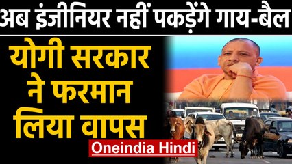 UP: Engineers से Stray Animal पकड़वाने वाला फरमान Yogi Government ने लिया वापस | Oneindia Hindi