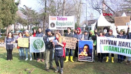 İbb önünde atlar için 41 gün önce başlatılan yaşam nöbeti sona erdi