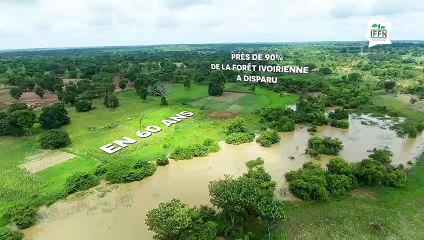 ONFI - Problématiques et enjeux - DEF V.04