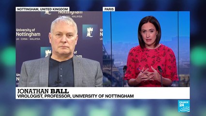 Coronavirus: "The real risk are the people who have travelled to Wuhan and return to their countries"