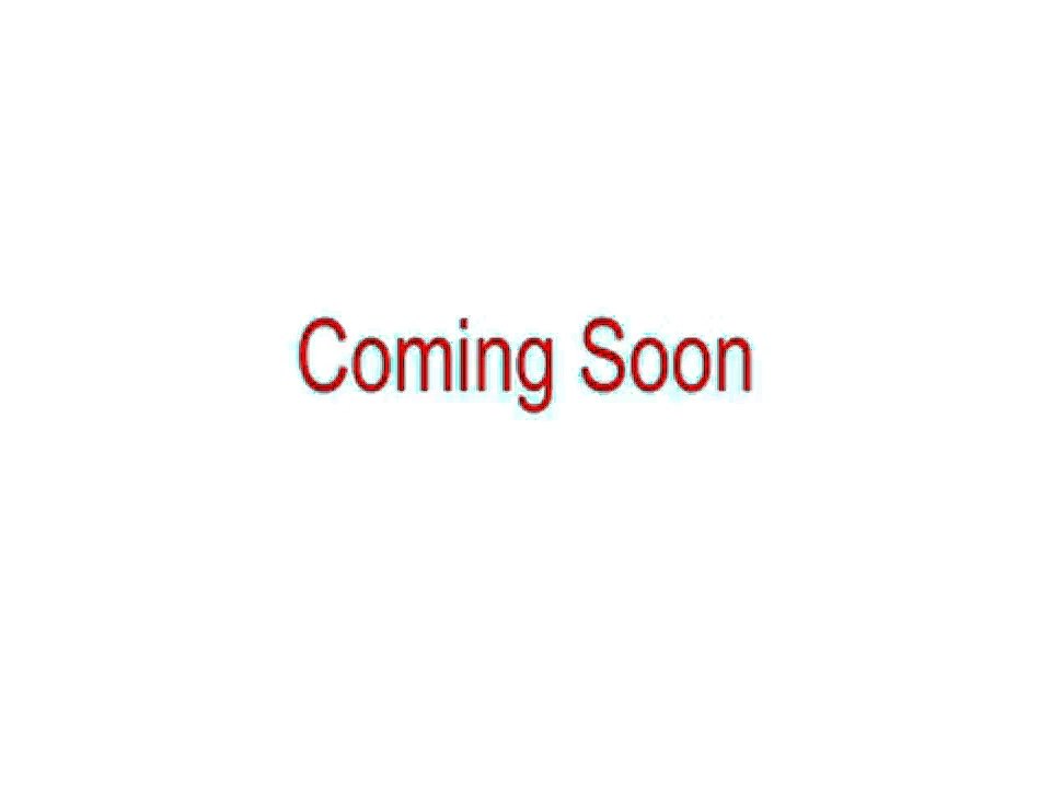 Flamingo Pool Float Kids and Adults Inflatable Animal Pool F