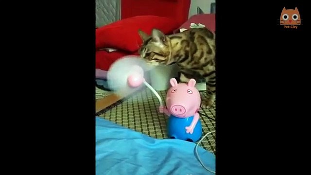 try not to laugh funny videos of cats and dogs ( trate de no reírse vídeos divertidos de gatos y perros)