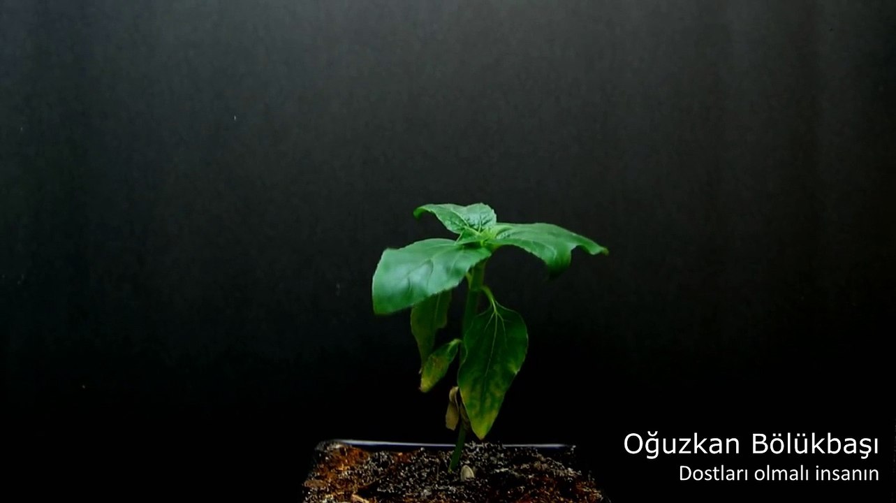 Oğuzkan Bölükbaşı-Dostları olmalı insanın