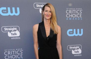 Laura Dern 'couldn't have asked' for something more 'fun' than Marriage Story