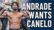 Demetrius Andrade wants to take on Canelo Álvarez | Super Bowl LIV