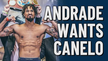 Demetrius Andrade wants to take on Canelo Álvarez | Super Bowl LIV