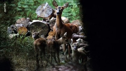 JT Sports du test 2020 01 28 à 17:29