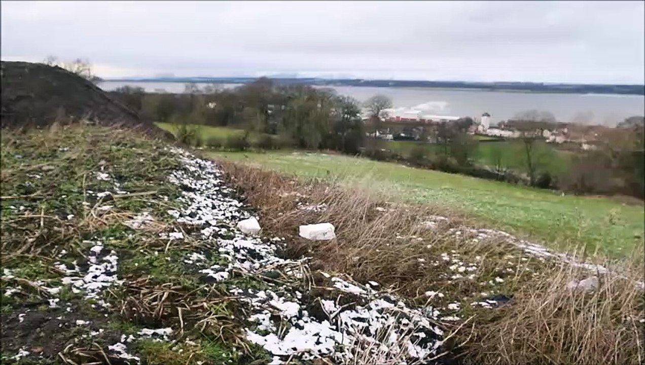 Bo'ness plans approved for 64 new home by Ogilvie Homes beyond new Stewart Milne Homes north of Drum Farm Lane