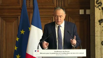 La France veut interdire le broyage des poussins et la castration à vif des porcelets fin 2021