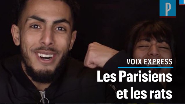 Rongeurs à Paris : «Les rats de la capitale, ils ont des plus gros bras que moi»