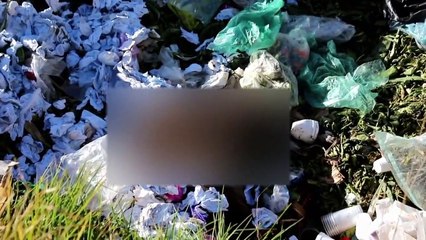 Envenenan a 53 perros en Puebla