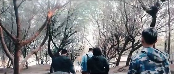 Marshmello ft. Ariana Grande