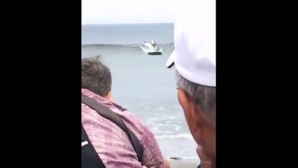 Cão numa prancha de surf faz acrobacia INCRÍVEL para evitar chocar com outro patudo