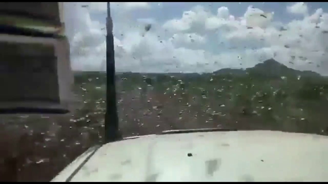 Invasion de criquets (locusts'), East Africa - Janvier 2020